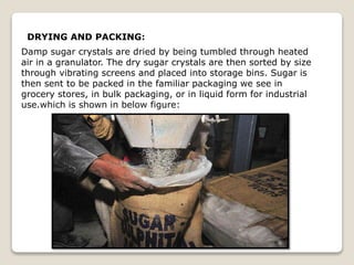 DRYING AND PACKING:
Damp sugar crystals are dried by being tumbled through heated
air in a granulator. The dry sugar crystals are then sorted by size
through vibrating screens and placed into storage bins. Sugar is
then sent to be packed in the familiar packaging we see in
grocery stores, in bulk packaging, or in liquid form for industrial
use.which is shown in below figure:
 