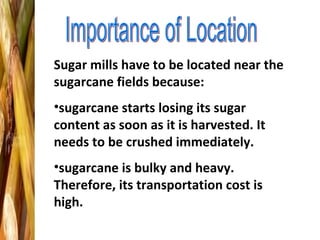 Sugar mills have to be located near the
sugarcane fields because:
•sugarcane starts losing its sugar
content as soon as it is harvested. It
needs to be crushed immediately.
•sugarcane is bulky and heavy.
Therefore, its transportation cost is
high.
 