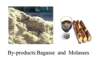 By-products:Bagasse and Molasses
 