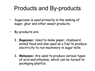 Products and By-products
• Sugarcane is used primarily in the making of
sugar, ghur and other sweet products.
• By-products are:
1. Bagasses: Used to make paper, chipboard,
animal feed and also used as a fuel to produce
electricity to run machinery in sugar mills.
1. Molasses: Are used to produce various types
of acid and ethylene, which can be turned to
packaging plastics.
 