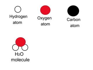Oxygen  atom Hydrogen  atom Carbon  atom H 2 O molecule 