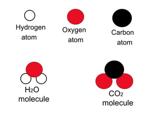 Oxygen  atom Hydrogen  atom Carbon  atom H 2 O molecule CO 2  molecule 