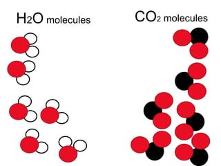 H 2 O  molecules CO 2  molecules 