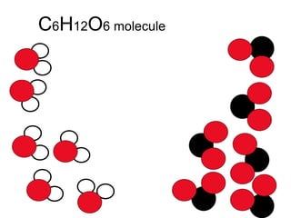 C 6 H 12 O 6 molecule 