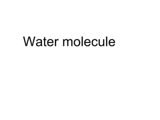 Water molecule 