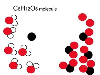 C 6 H 12 O 6 molecule 