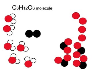 C 6 H 12 O 6 molecule 