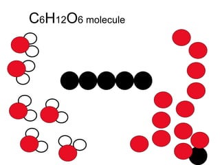 C 6 H 12 O 6 molecule 