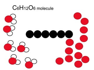 C 6 H 12 O 6 molecule 