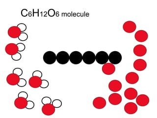 C 6 H 12 O 6 molecule 