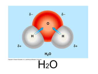 H 2 O 