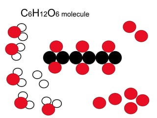 C 6 H 12 O 6 molecule 