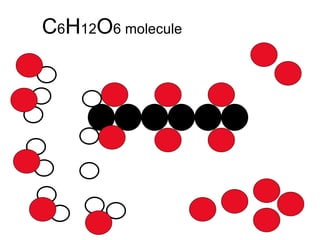C 6 H 12 O 6 molecule 