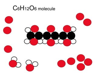 C 6 H 12 O 6 molecule 