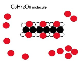 C 6 H 12 O 6 molecule 