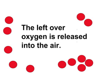 C 6 H 12 O 6 molecule The left over oxygen is released into the air. 