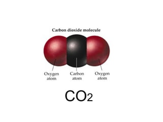 CO 2 