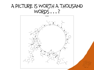 A PICTURE IS WORTH A THOUSAND
          WORDS…?
 