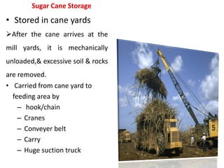 Sugar Cane Storage
• Stored in cane yards
• Carried from cane yard to
feeding area by
– hook/chain
– Cranes
– Conveyer belt
– Carry
– Huge suction truck
After the cane arrives at the
mill yards, it is mechanically
unloaded,& excessive soil & rocks
are removed.
 