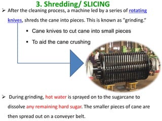  After the cleaning process, a machine led by a series of rotating
knives, shreds the cane into pieces. This is known as "grinding.“
 Cane knives to cut cane into small pieces
 To aid the cane crushing
 During grinding, hot water is sprayed on to the sugarcane to
dissolve any remaining hard sugar. The smaller pieces of cane are
then spread out on a conveyer belt.
3. Shredding/ SLICING
 