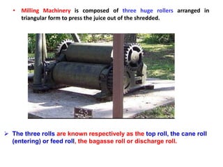 The three rolls are known respectively as the top roll, the cane roll
(entering) or feed roll, the bagasse roll or discharge roll.
• Milling Machinery is composed of three huge rollers arranged in
triangular form to press the juice out of the shredded.
 
