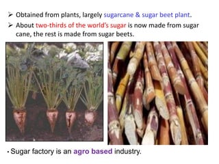  Obtained from plants, largely sugarcane & sugar beet plant.
 About two-thirds of the world’s sugar is now made from sugar
cane, the rest is made from sugar beets.
• Sugar factory is an agro based industry.
 