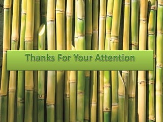 Applied chemistry about sugar manufacturing