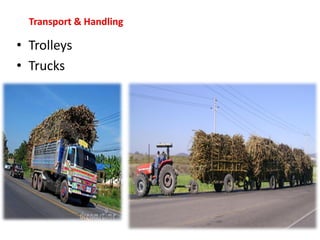 Transport & Handling
• Trolleys
• Trucks
 
