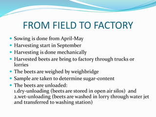 FROM FIELD TO FACTORY
 Sowing is done from April-May
 Harvesting start in September
 Harvesting is done mechanically
 Harvested beets are bring to factory through trucks or
lorries
 The beets are weighed by weighbridge
 Sample are taken to determine sugar-content
 The beets are unloaded:
1.dry-unloading (beets are stored in open air silos) and
2.wet-unloading (beets are washed in lorry through water jet
and transferred to washing station)
 