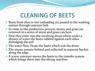 CLEANING OF BEETS
 Beets from silos or wet-unloading are passed to the washing
station through conveyer belt
 In route to the production process, stones and grass are
removed in a series of stone and grass catchers
 First they enter into the revolving drum where under a
shower of water the beets rubbed against each other
dislodging the soil
 The water flow, floats the beets which exit the drum
 The stones remain behind and collected in separate bucket
along the edge
 A screw conveyer moves the beets to the transfer system
which brings them into the slicing machine
 