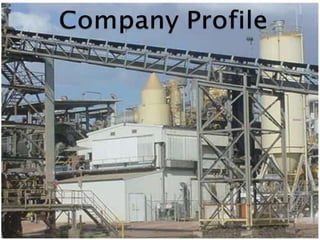 The process known for creating sugar, by pressing out the juice  and then boiling it into crystals, was developed in India around 500 BC.