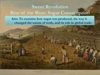 Sweet Revolution 
Rise of the West: Sugar Consumption 
Aim: To examine how sugar was produced, the way it 
Aim: To examine how sugar was produced, the way it 
changed the nature of work, and its role in global trade. 
changed the nature of work, and its role in global trade. 
 