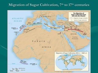 Sugar Trade: Period 4 | PPT