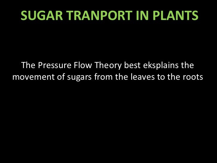 Sugar transport in plant
