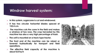 Windrow harvest system:
➢ In this system, sugarcane is cut and windrowed.
➢ It has two circular horizontal blades spaced at
152.4 cm.
➢ The machine cuts the cane in the field and makes
a windrow of two rows. The crop harvested by this
machine has also a very high percentage of trash.
➢ The unit is mounted on a track-type tractor.
➢ The front end of the machine can be raised or
lowered hydraulically for transport and field
operations.
➢ The effective field capacity of the machine is
about 0.8 ha/h
 