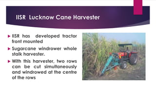 IISR Lucknow Cane Harvester
 IISR has developed tractor
front mounted
 Sugarcane windrower whole
stalk harvester.
 With this harvester, two rows
can be cut simultaneously
and windrowed at the centre
of the rows
 