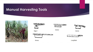 Manual Harvesting Tools
 