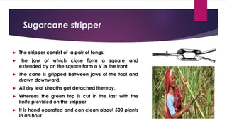 Sugarcane stripper
 The stripper consist of a pair of tongs.
 the jaw of which close form a square and
extended by on the square form a V in the front.
 The cane is gripped between jaws of the tool and
drawn downward.
 All dry leaf sheaths get detached thereby.
 Whereas the green top is cut in the last with the
knife provided on the stripper.
 It is hand operated and can clean about 500 plants
in an hour.
 
