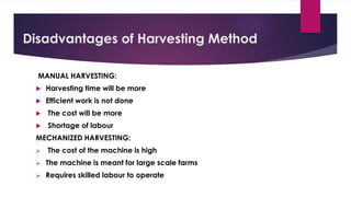 Disadvantages of Harvesting Method
MANUAL HARVESTING:
 Harvesting time will be more
 Efficient work is not done
 The cost will be more
 Shortage of labour
MECHANIZED HARVESTING:
➢ The cost of the machine is high
➢ The machine is meant for large scale farms
➢ Requires skilled labour to operate
 