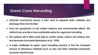 Green Cane Harvesting
 Particular mechanical device is then used to separate leafy materials and
discharge them into the field.
 From the perspective of soil nutrient balance and environmental effects, this
method may provide a more sustainable option for sugarcane harvesting
 The residues left in field could help to control weeds, reduce soil moisture loss,
and decrease soil erosion (Braunbeck et al., 1999).
 A major challenge for green cane harvesting practice is that the increased
amount of extraneous materials (such as tops and leafy materials) extensively
increases machine load.
 