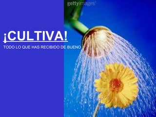 ¡CULTIVA! TODO LO QUE HAS RECIBIDO DE BUENO