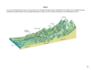 ANEXO 4
Un río es una corriente continua de agua. Los ríos se forman por la acumulación del agua de lluvia y del deshielo de las montañas o por la emergencia de aguas
subterráneas a la superficie terrestre. Los ríos principales desembocan en un lago o en el mar; en cambio, los afluentes son ríos que desembocan en otro río.

51

 