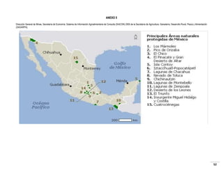 ANEXO 5
Dirección General de Minas, Secretaría de Economía; Sistema de Información Agroalimentaria de Consulta (SIACON) 2005 de la Secretaría de Agricultura, Ganadería, Desarrollo Rural, Pesca y Alimentación
(SAGARPA).

52

 