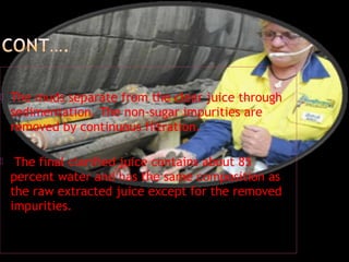  The muds separate from the clear juice through
sedimentation. The non-sugar impurities are
removed by continuous filtration.
 The final clarified juice contains about 85
percent water and has the same composition as
the raw extracted juice except for the removed
impurities.
 