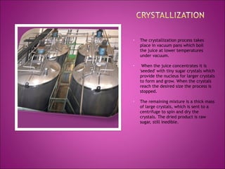 • The crystallization process takes
place in vacuum pans which boil
the juice at lower temperatures
under vacuum.
• When the juice concentrates it is
'seeded' with tiny sugar crystals which
provide the nucleus for larger crystals
to form and grow. When the crystals
reach the desired size the process is
stopped.
• The remaining mixture is a thick mass
of large crystals, which is sent to a
centrifuge to spin and dry the
crystals. The dried product is raw
sugar, still inedible.
 