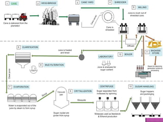Suger production process by ilamdin