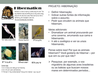 PROJETO: HIBERNAÇÃO 
• Definir hibernação; 
• Indicar outras fontes de informação 
sobre o assunto; 
• Pedir que circulem os animais que 
hibernam. 
Ideias adicionais: 
• Dramatizar um animal procurando por 
uma caverna, arrumando sua cama e 
hibernando; 
• Ir até o zoológico e ver os ursos 
hibernando; 
Pense sobre isso! Por que os animais 
hibernam? Você gostaria de hibernar – por 
que sim ou por que não? 
 Pesquisar, por exemplo, o voo 
migratório de algumas aves brasileiras 
ou as baleias que buscam nossos 
mares em determinados períodos... 
 