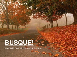 BUSQUE! PROCURE COM ARDOR O QUE DESEJA 