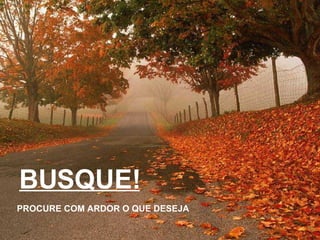 BUSQUE! PROCURE COM ARDOR O QUE DESEJA 