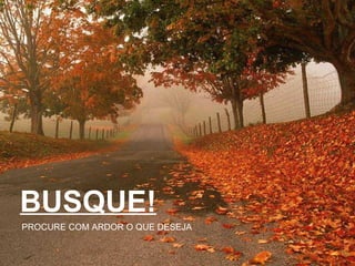 BUSQUE! PROCURE COM ARDOR O QUE DESEJA 